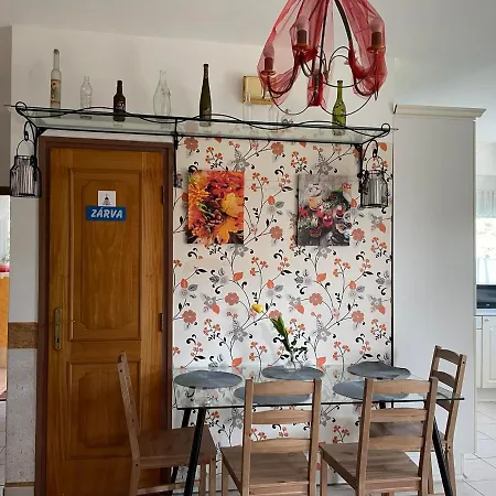 Pensjonat Andrea Wellness Garden Cserszegtomaj