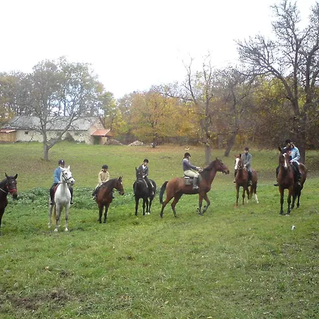 Vendégház Andrea Wellness Garden 4*