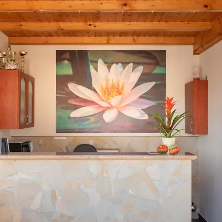 Andrea Wellness Garden Vendégház Cserszegtomaj