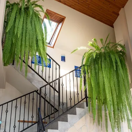 Andrea Wellness Garden 체르젝토마