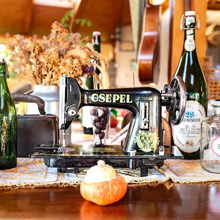 Vendégház Andrea Wellness Garden Cserszegtomaj