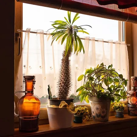 Andrea Wellness Garden 4* Cserszegtomaj