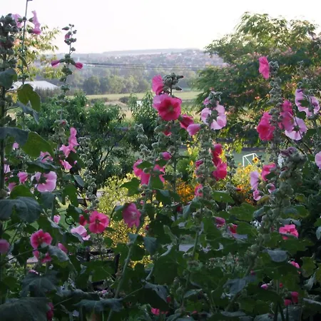 Andrea Wellness Garden Pensjonat Cserszegtomaj