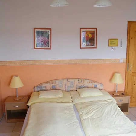 Andrea Wellness Garden Pensjonat 3*