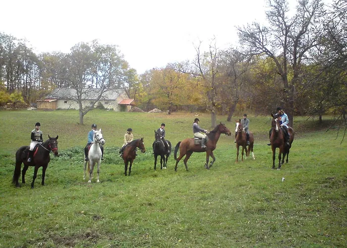 Gasthof Andrea Wellness Panzió 4*