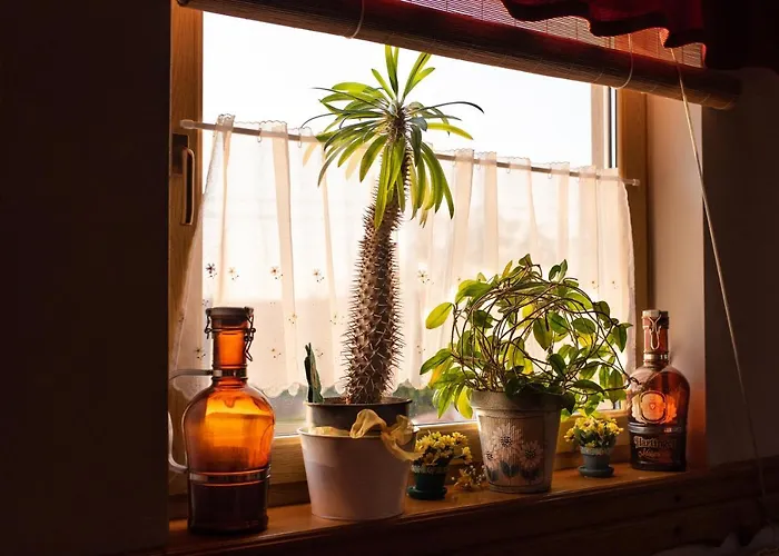 Andrea Wellness Panzió 4* Cserszegtomaj